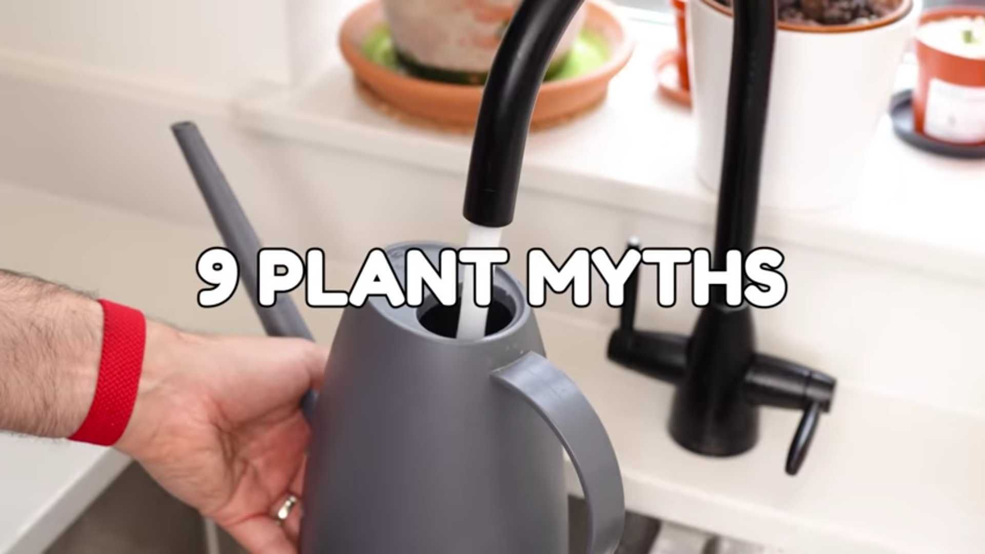 Busting 9 Widespread Plant Myths