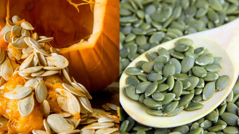pumpkin seeds