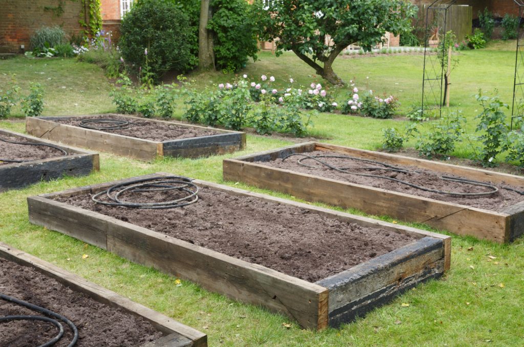 Newly built raised beds