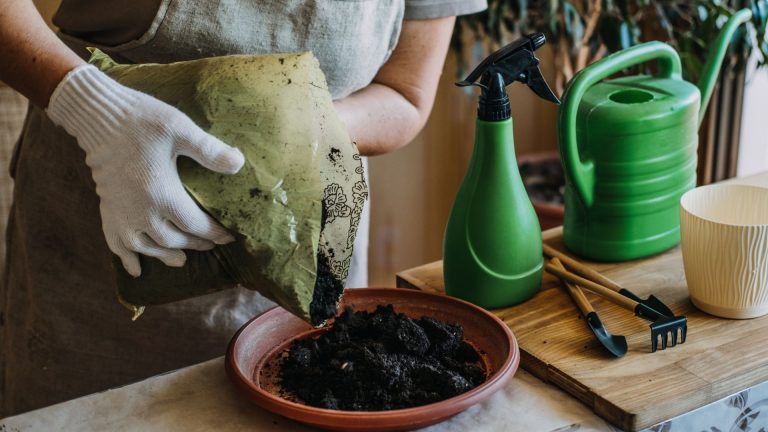 woman repotting plant