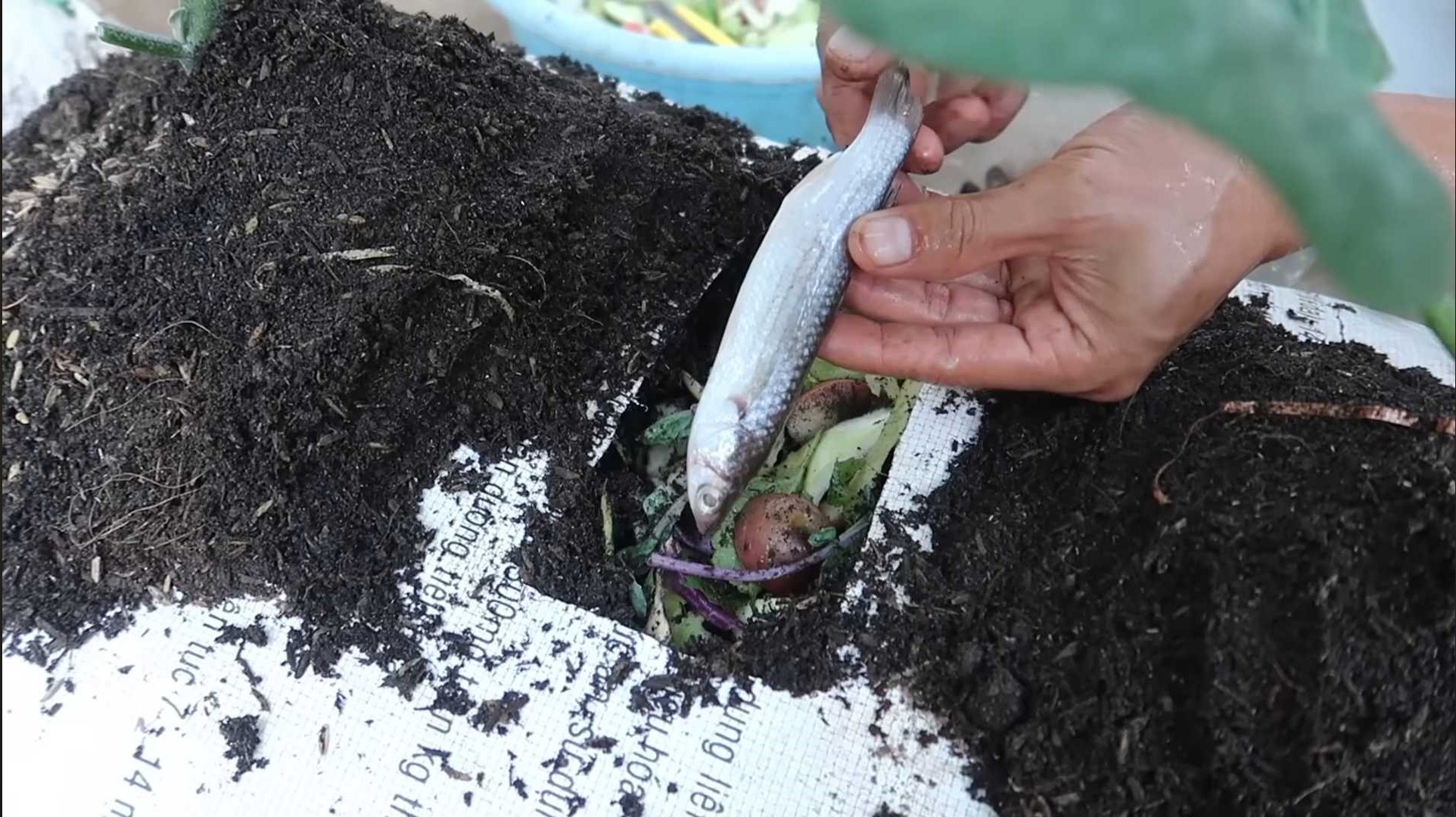 adding compost to soil