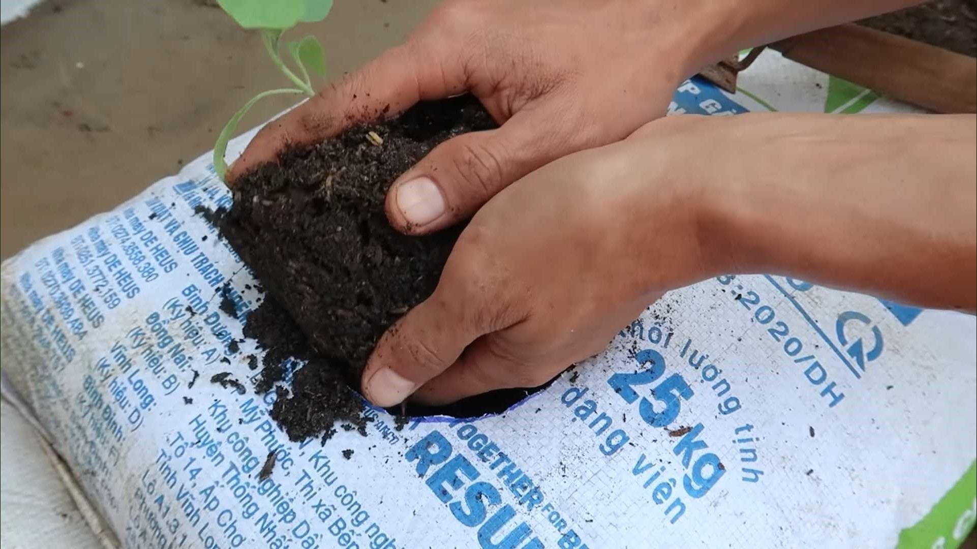 adding soil in a bag