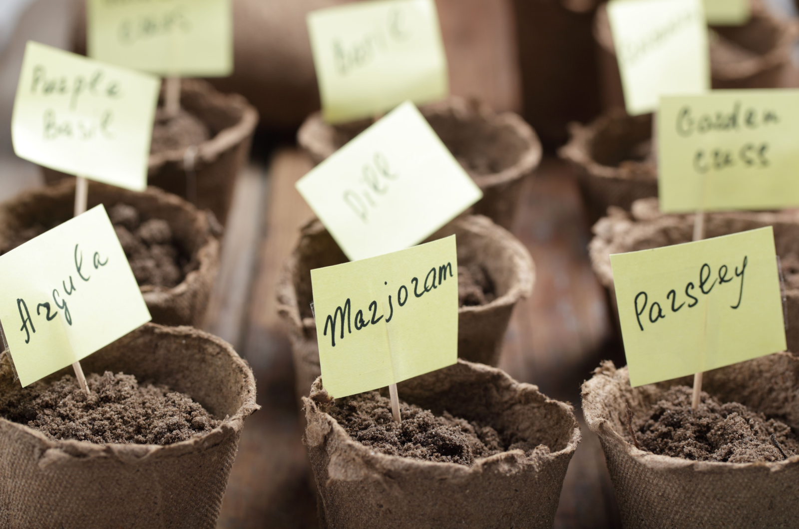 labeling the seeds in a pot