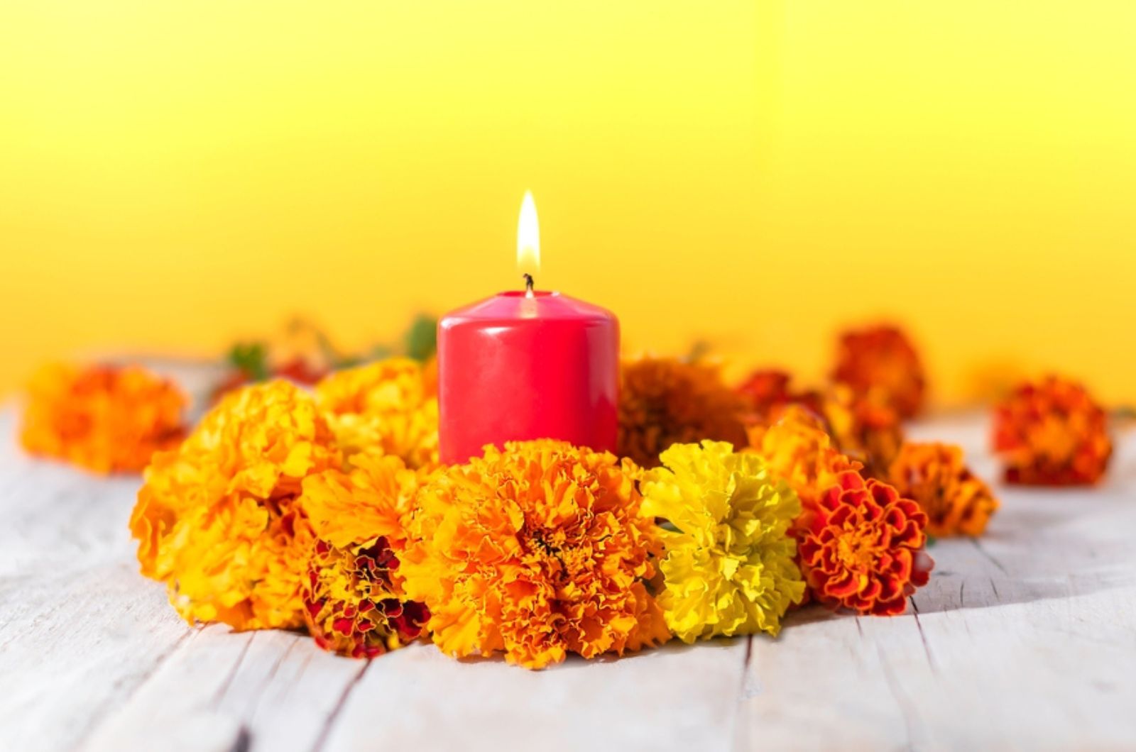 marigolds with candle
