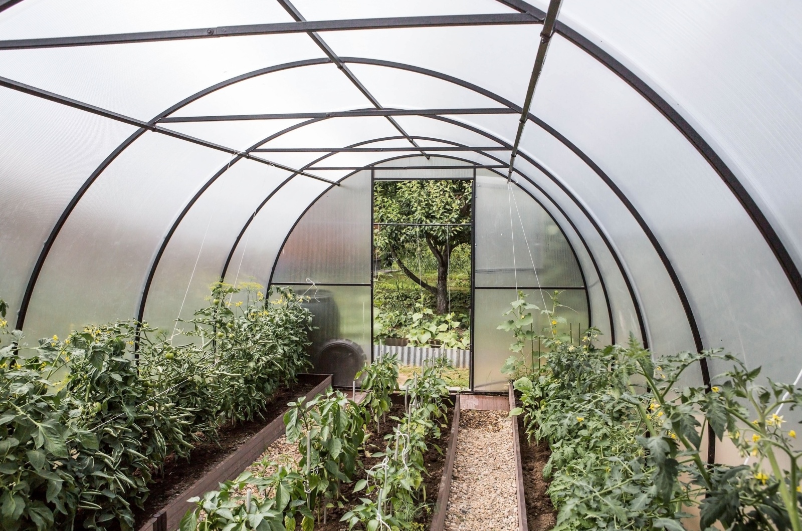 photo of greenhouse