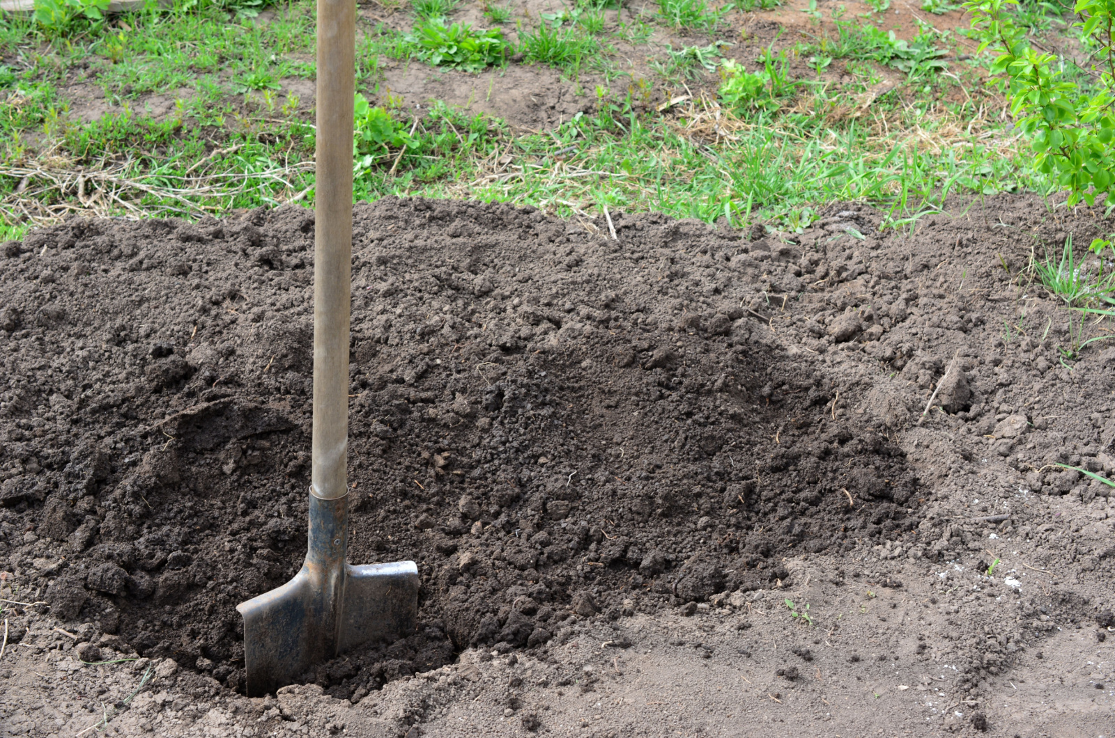 shovel on the garden bed, digging hole