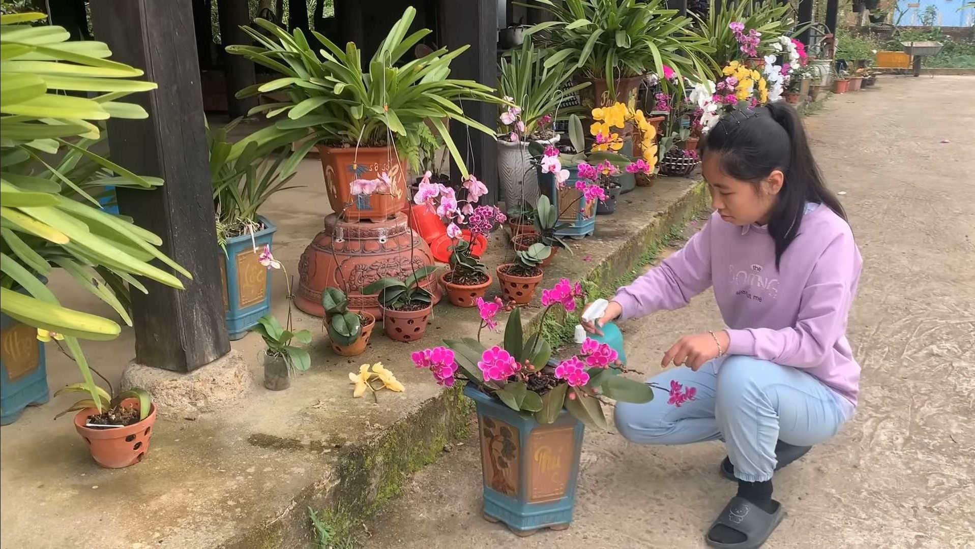 woman spraying the leaves