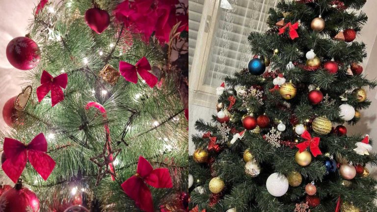 photo of Christmas tree