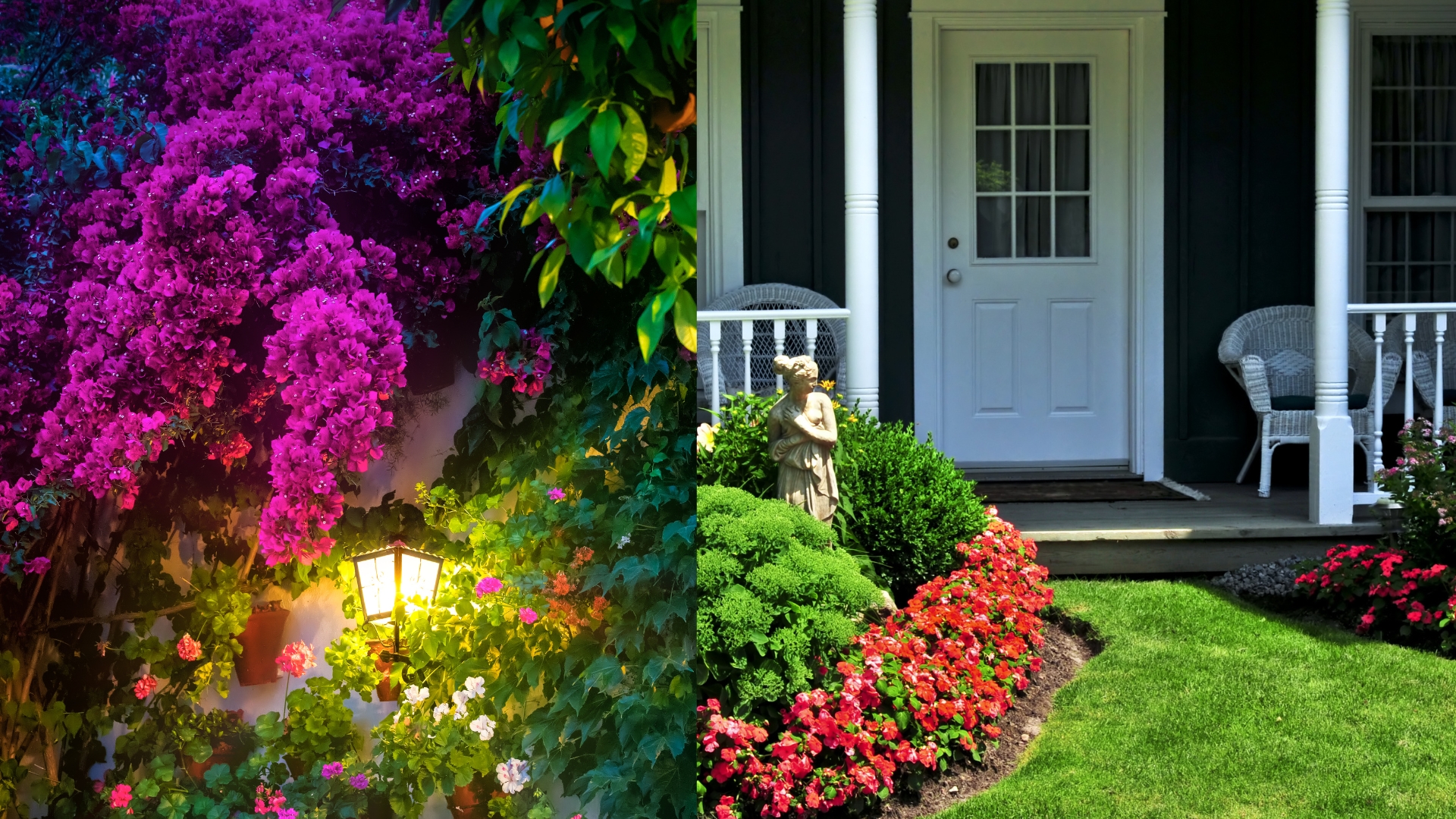 Check Out The Hottest Garden Trends For 2024 