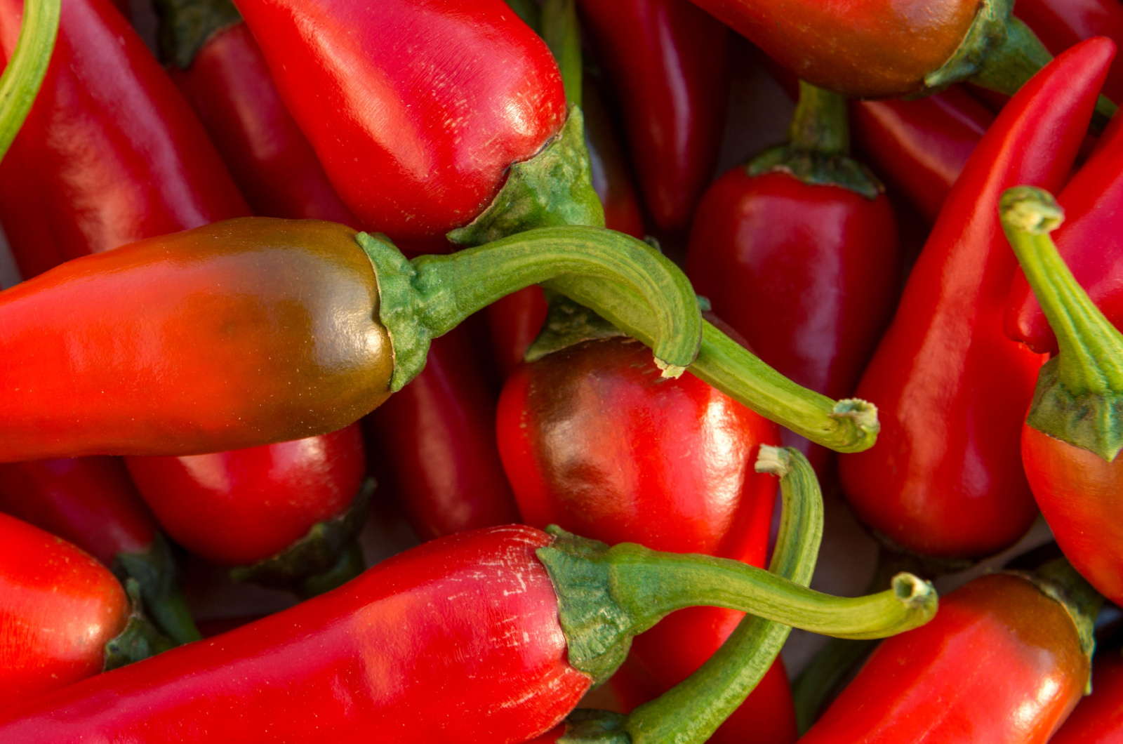 Close up shot of hot chili peppers