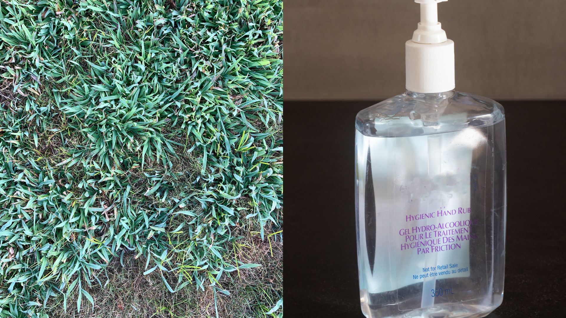 Destroy Annoying Crabgrass With One Product You Already Own