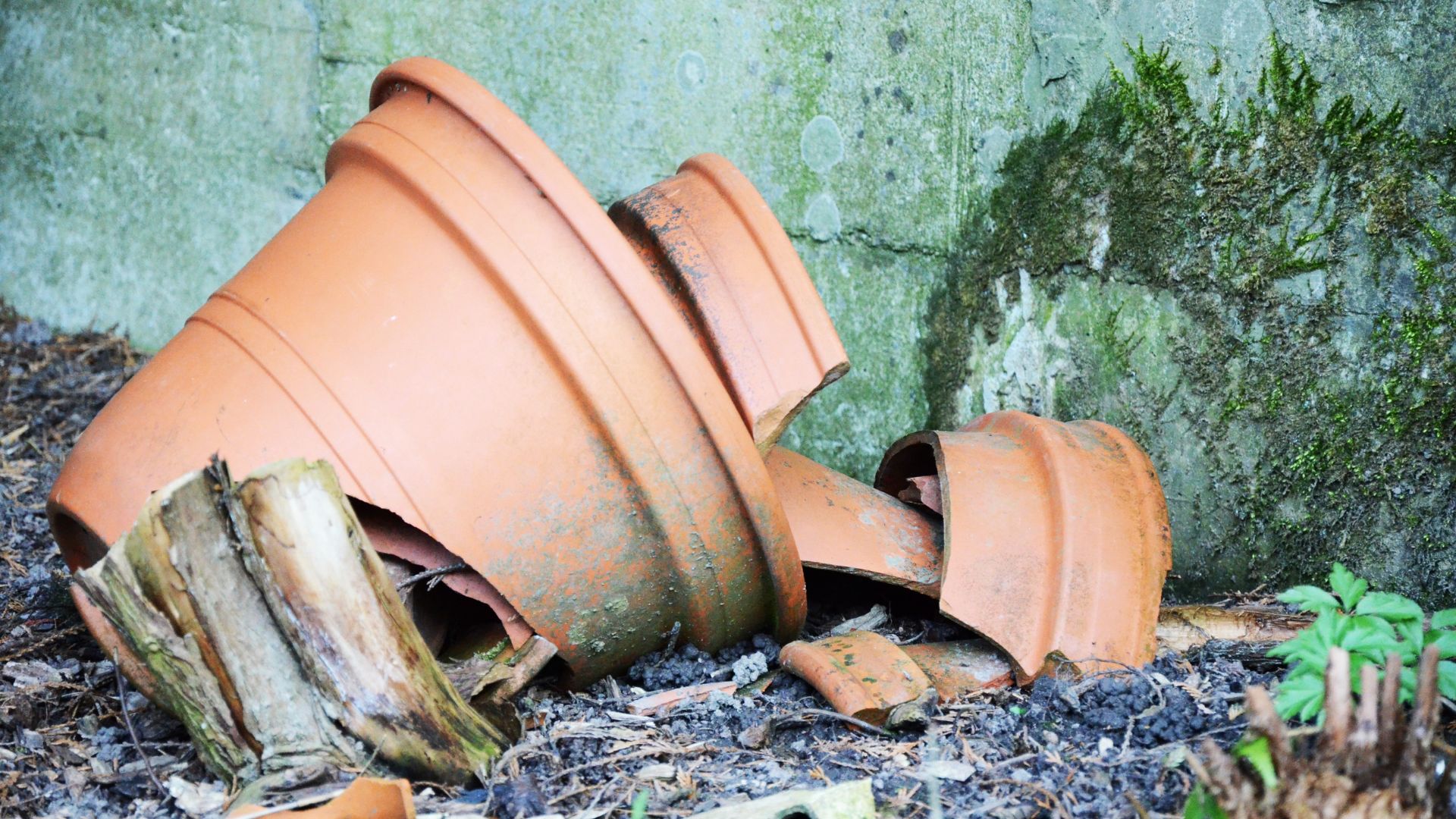 How To Stop Terracotta Pots From Cracking