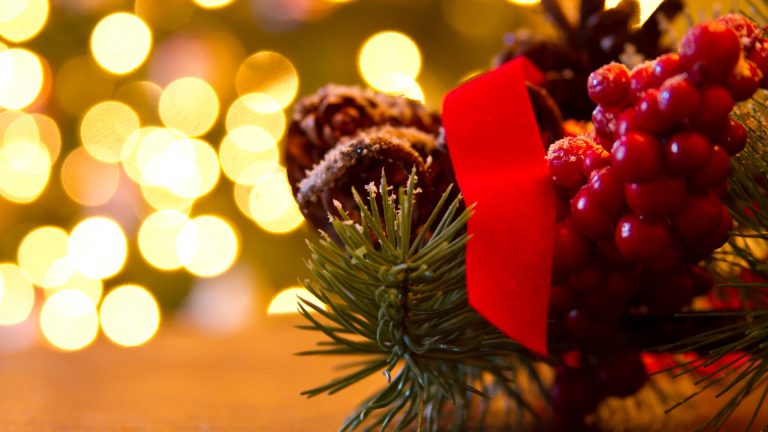 how to care for mistletoe