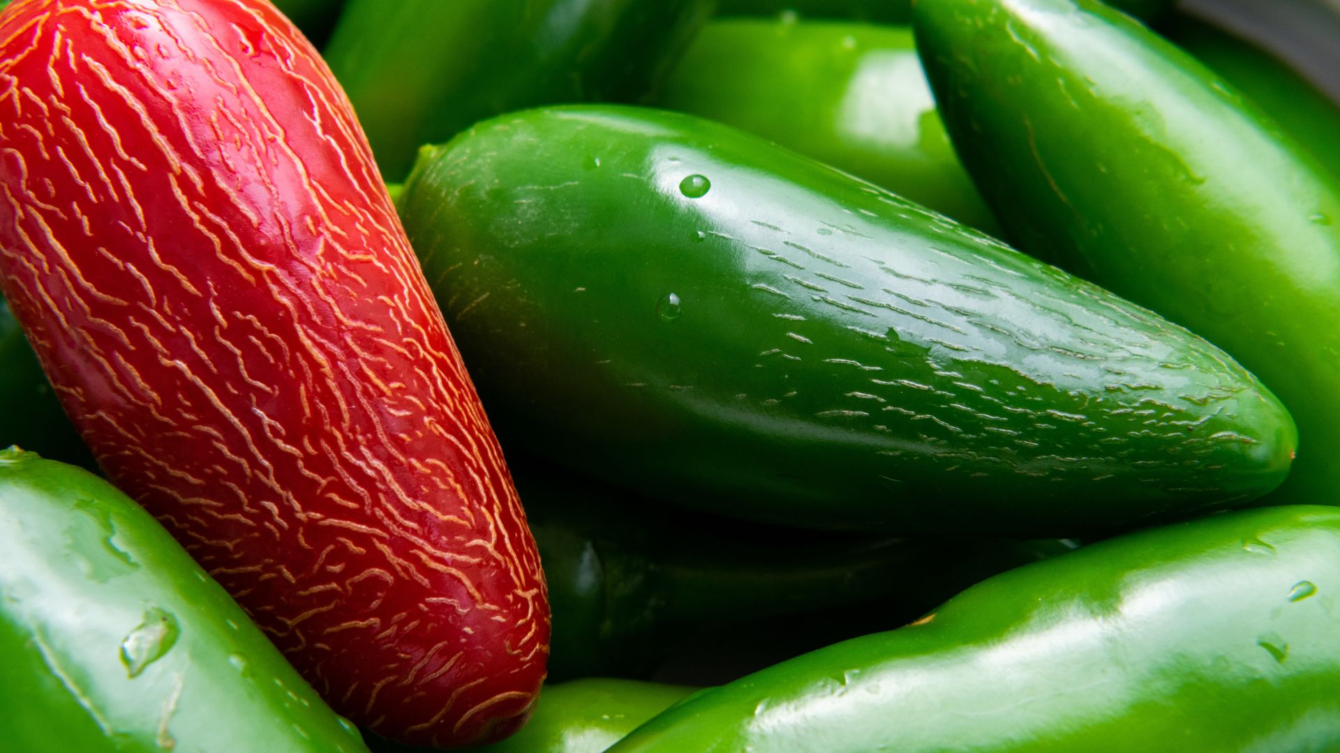 Pepper Corking: Here’s Why Your Peppers Have Woody Lines