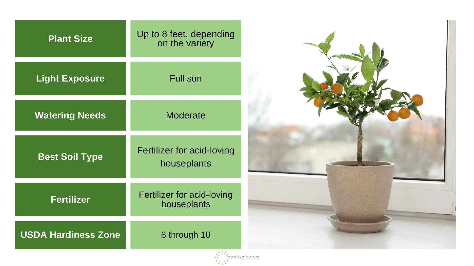Potted Citrus Trees info chart and photo