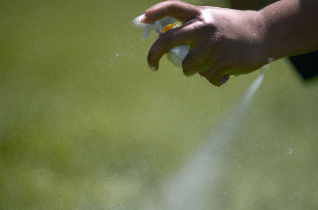 Spraying Rubbing alcohol on a grass