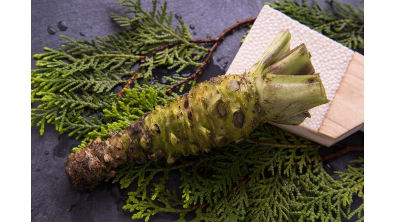 Wasabi