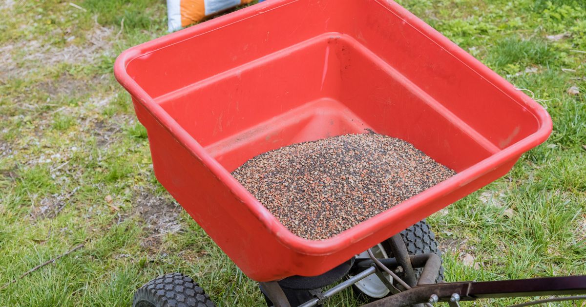 when-to-sow-grass-seed-in-different-climates