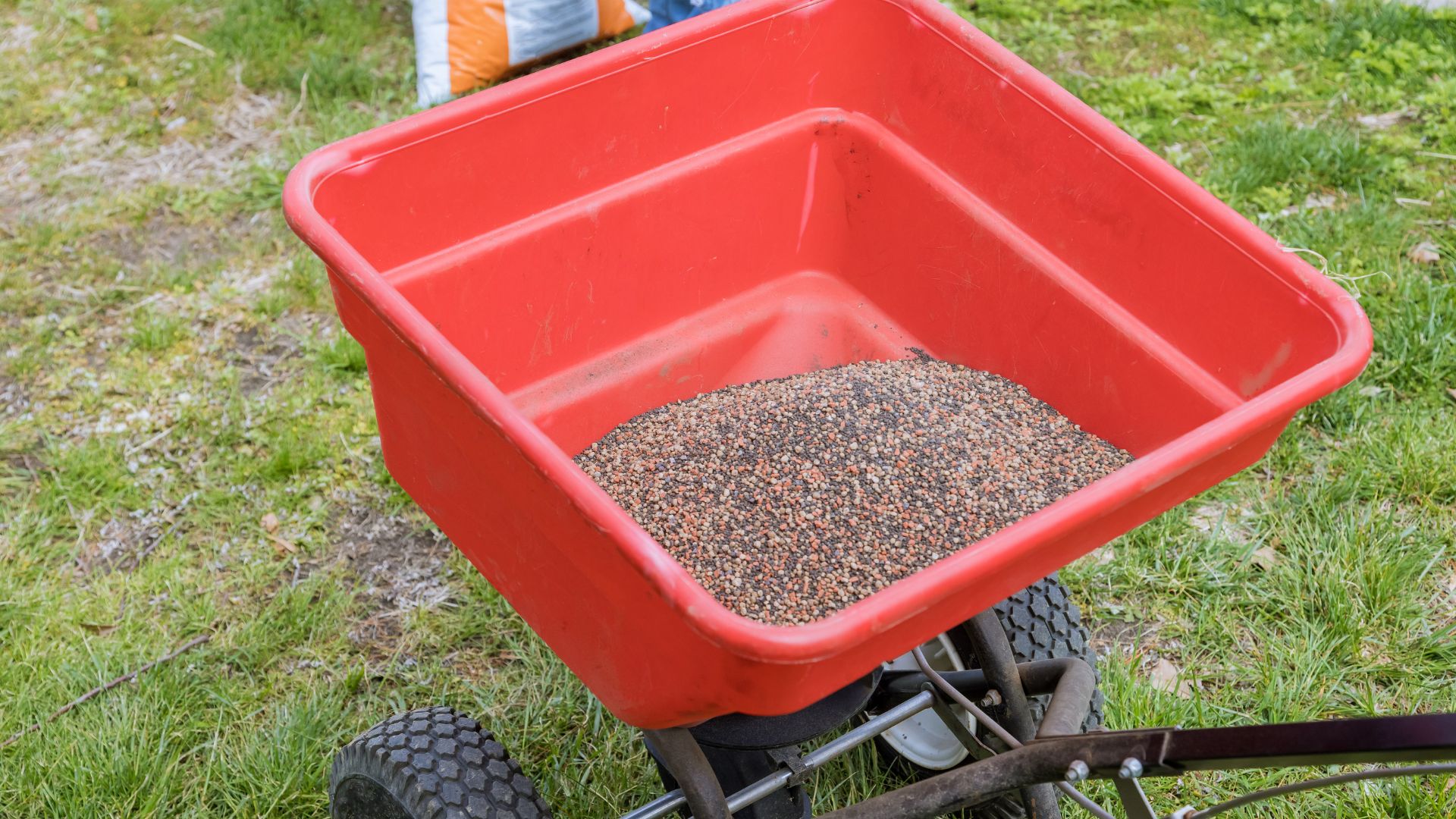When To Sow Grass Seed In Different Climates