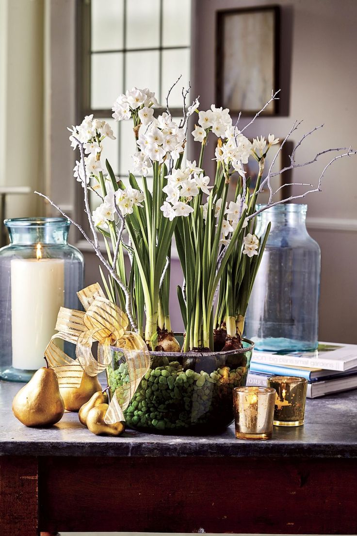 Why Paperwhites Make The Best Holiday Gifts