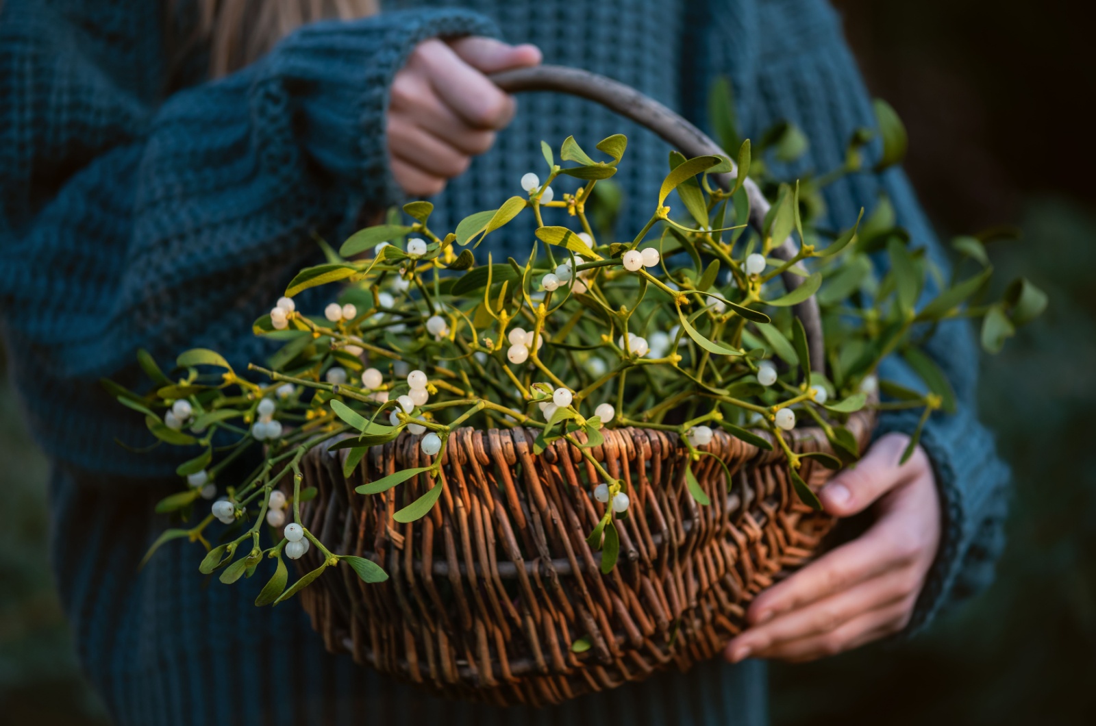 girl holding a wicker basket with mistletoe