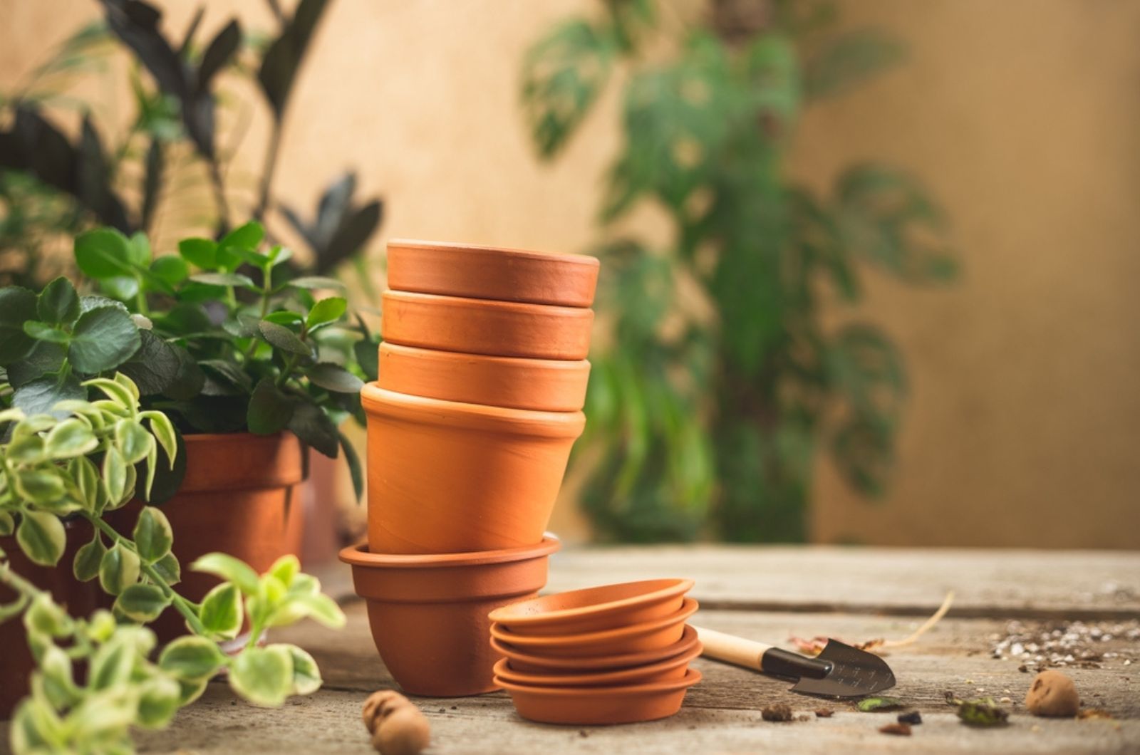 terracotta pots on the table