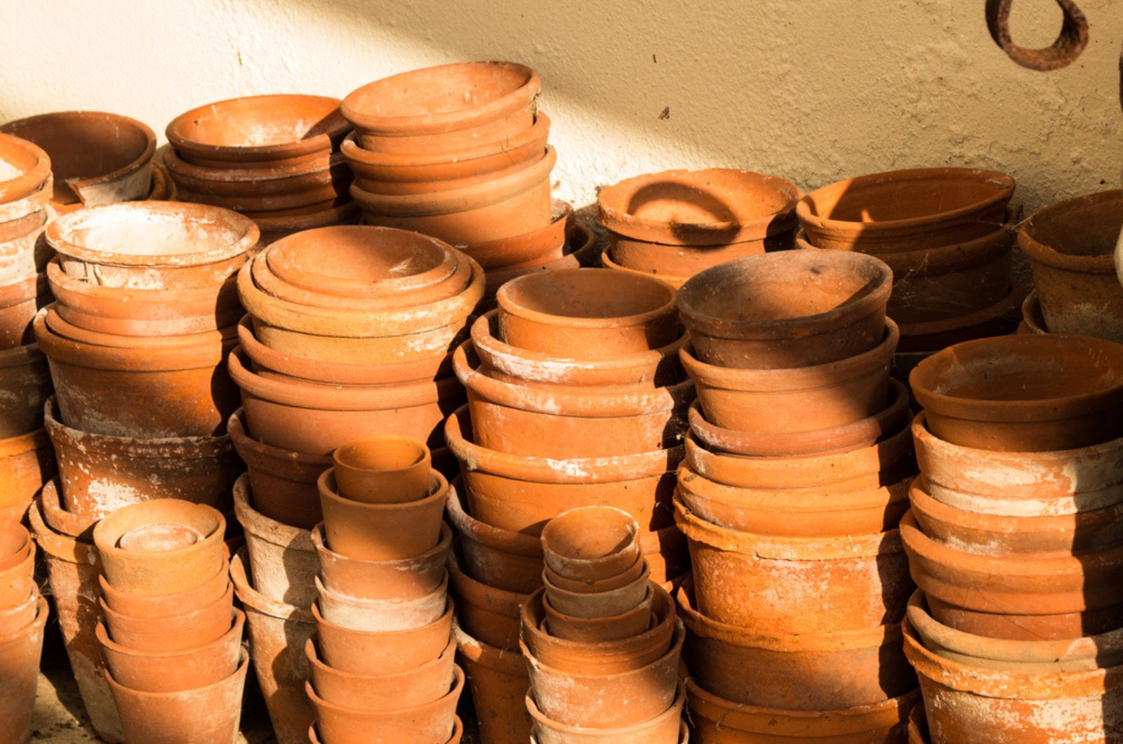 terracotta pots outdoor