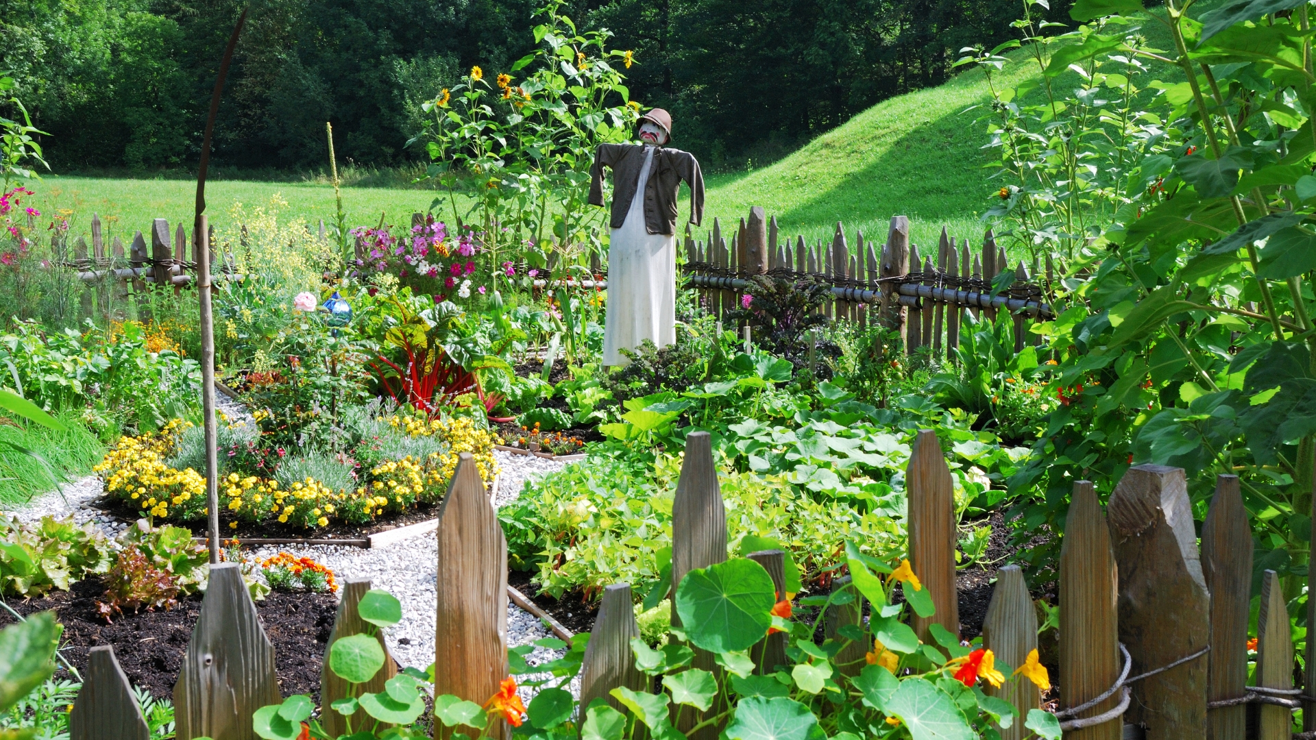 garden with scarecrow