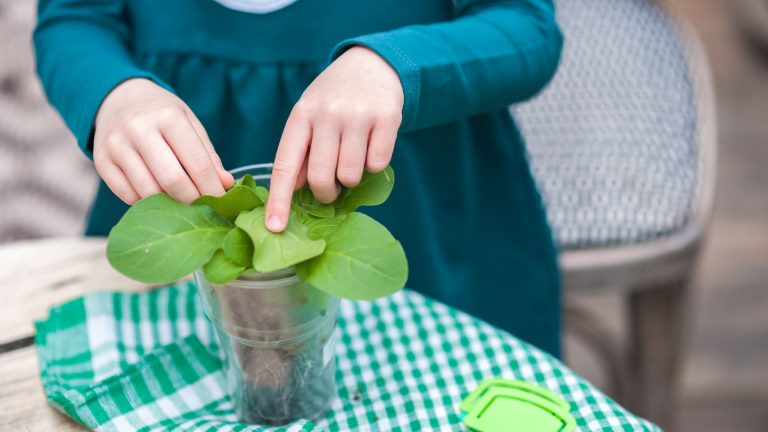 kid placing plant in a cup
