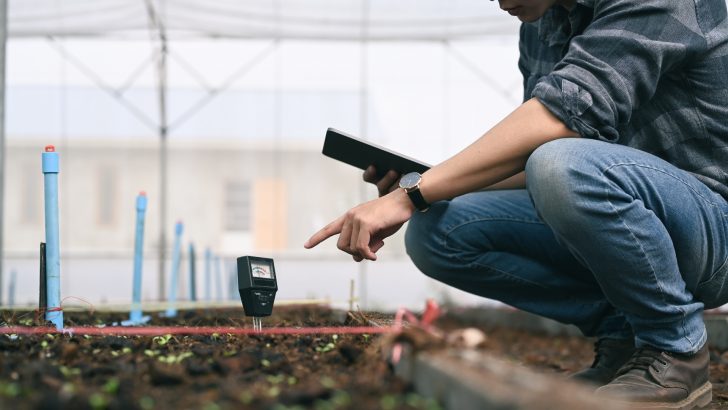 View of 5 Smart Gardening Essentials For A Blooming Spring Ahead