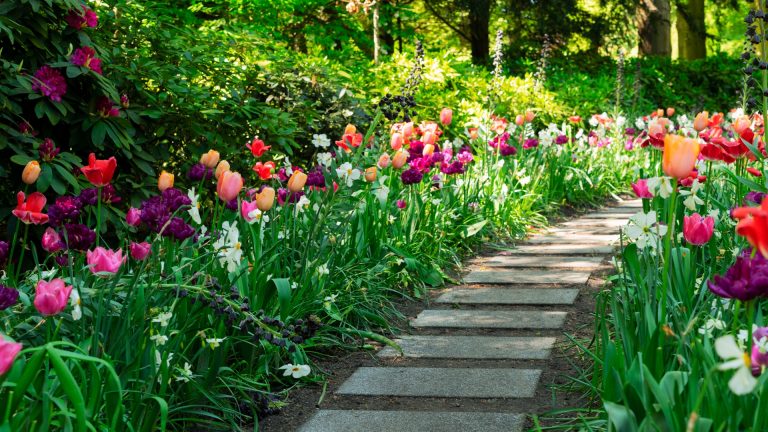 pathway with flowers