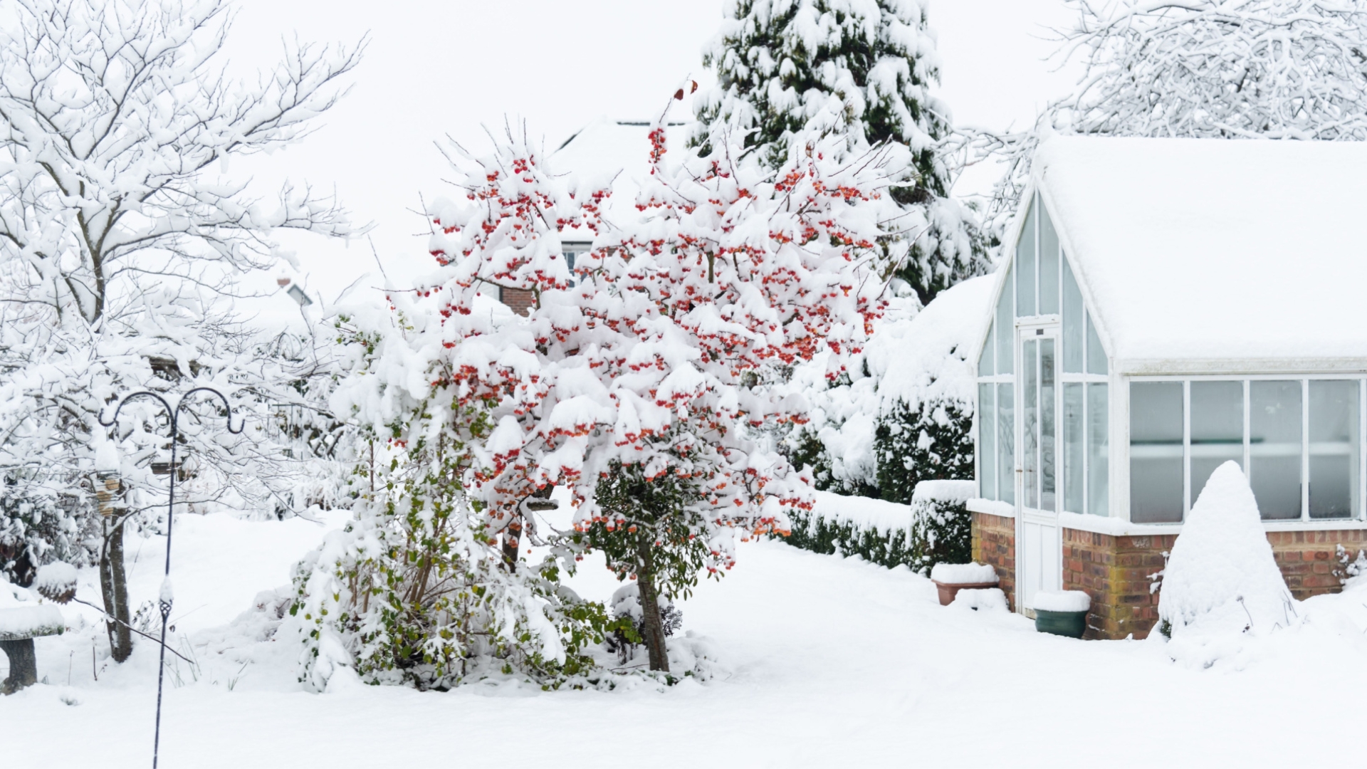 7 Garden Items You Should Never Keep Outside Over Winter