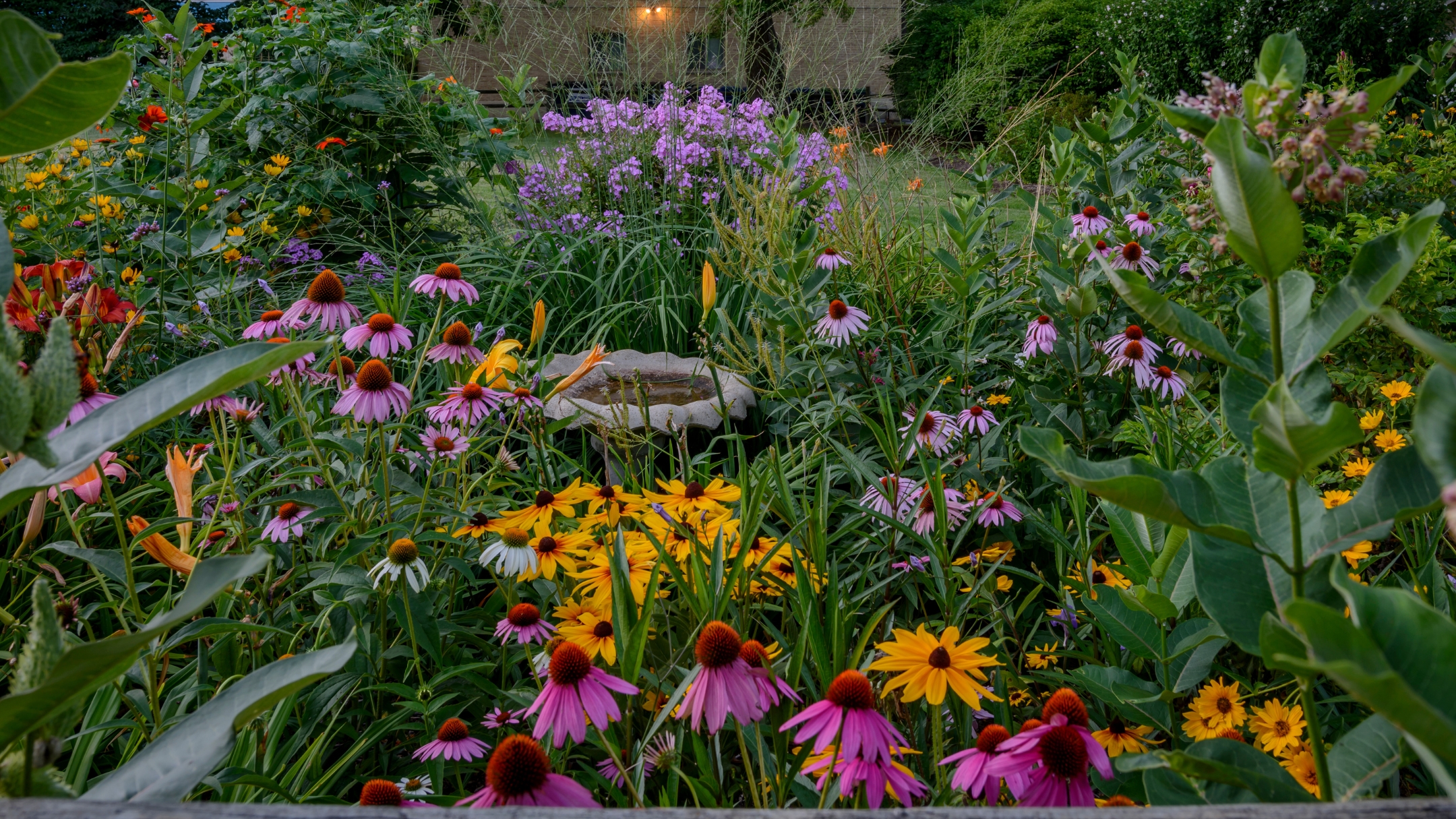 9 Sun-loving Perennials For A Beautiful Cutting Garden