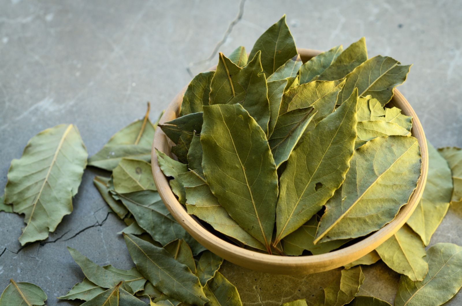 Bay leaves in a clay dish