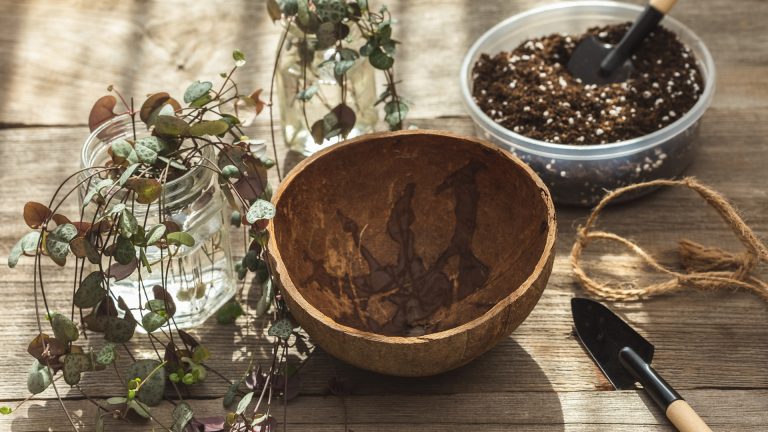 propagating heart of strings