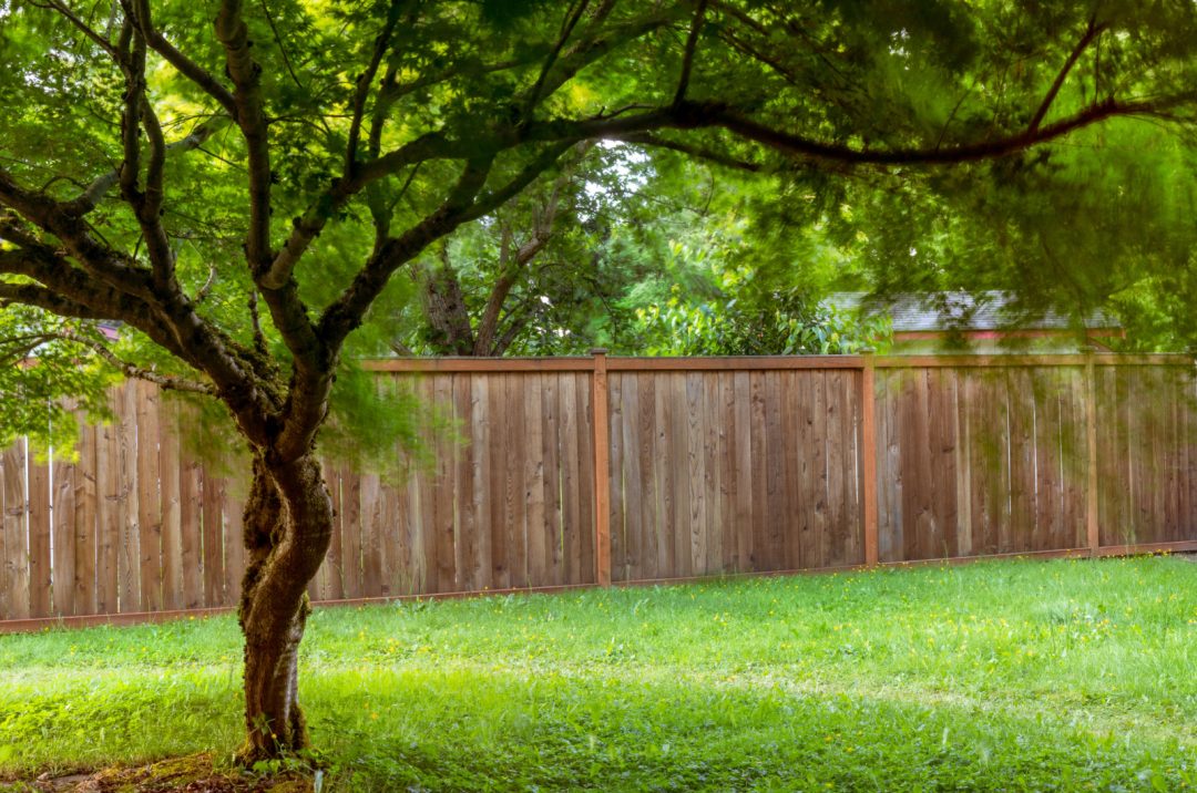 A Detailed Guide To Sun Exposure For Gardeners