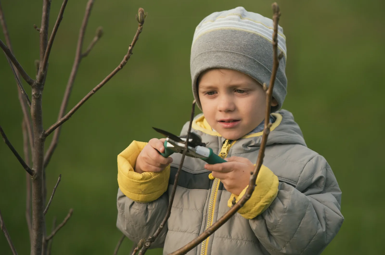 5 Garden Activities For Kids In January