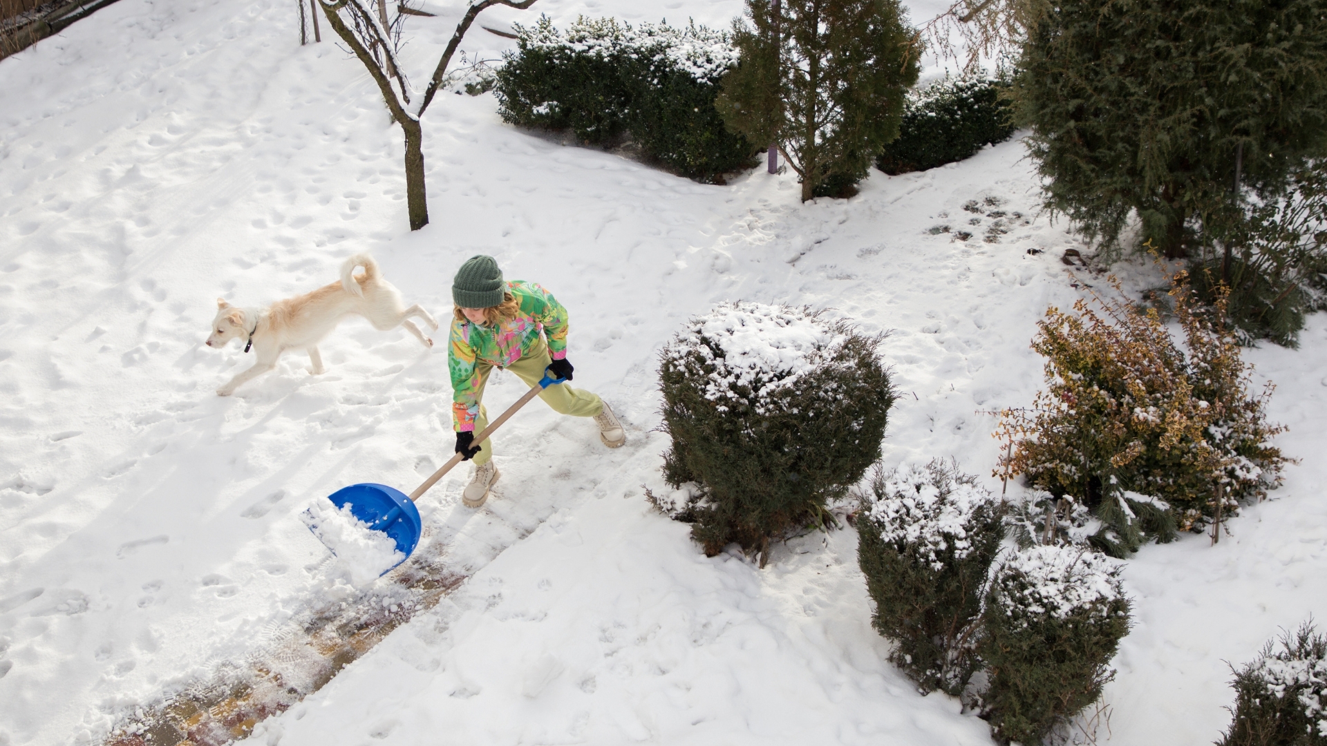 Top Tips For How To Repair Your Garden After Harsh Winter Storms