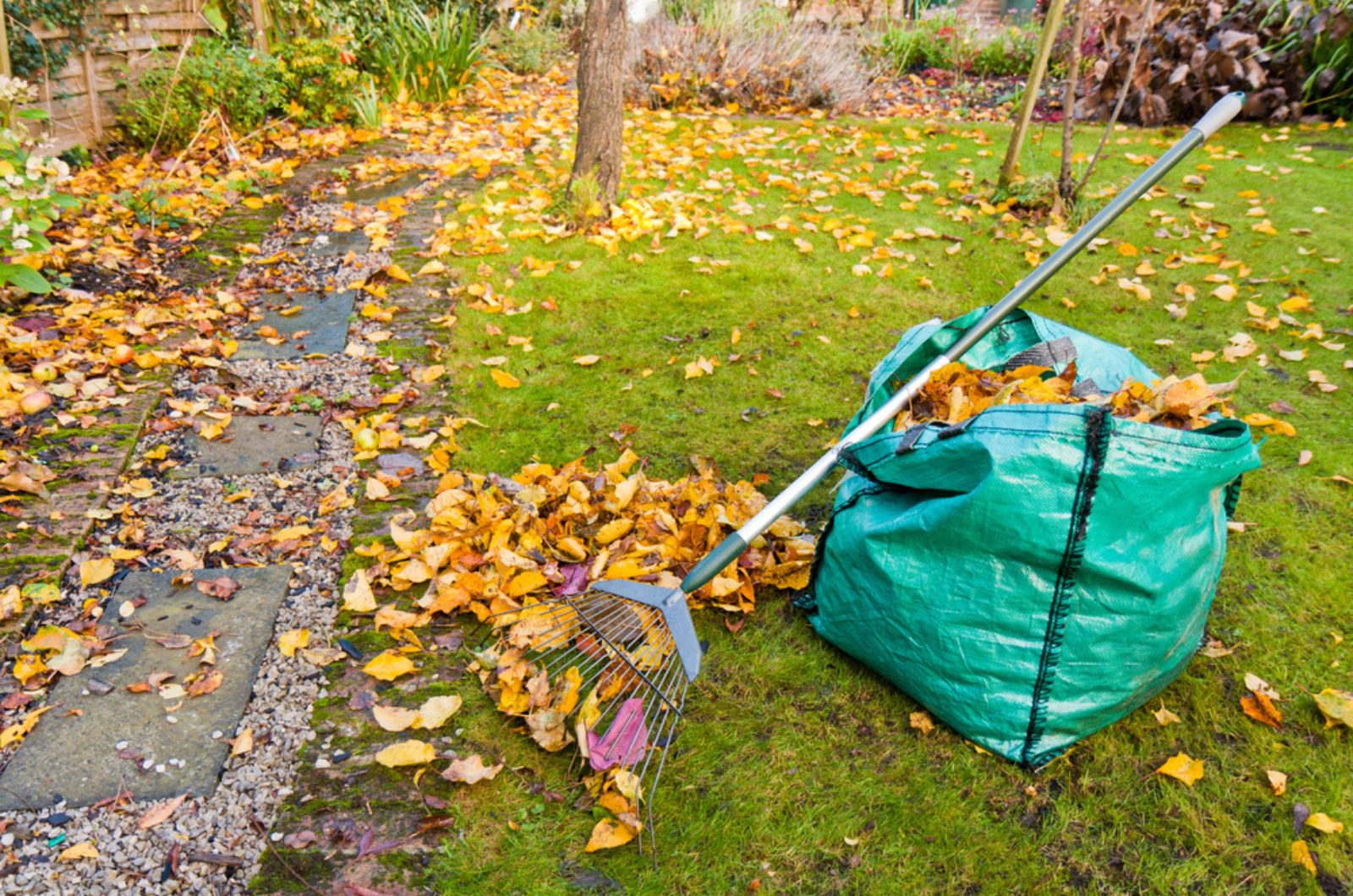 a sack full of leaves with rack in garden