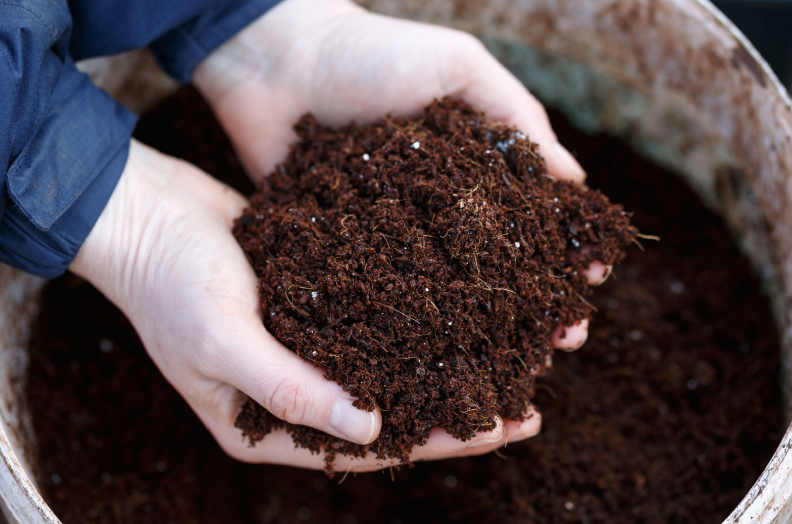 gardener holding compost in hands