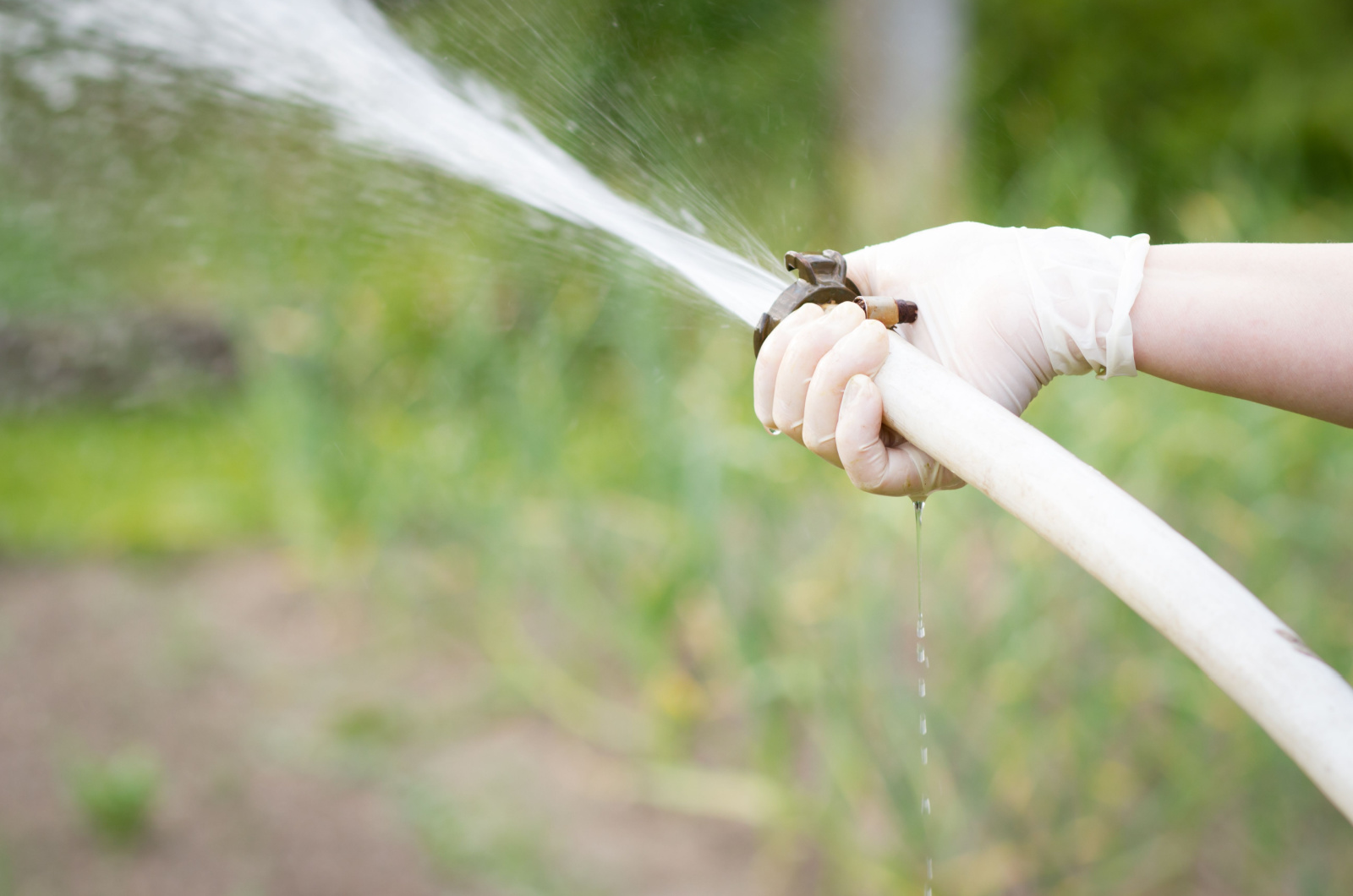high pressure water hose in garden