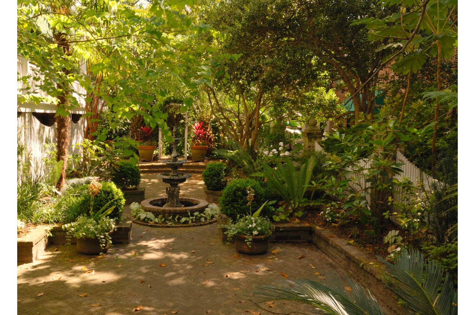 shaded garden