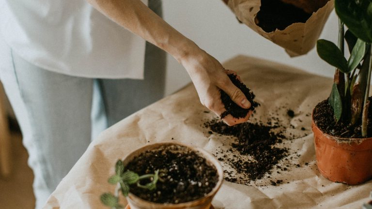 gardener holding soil in hands