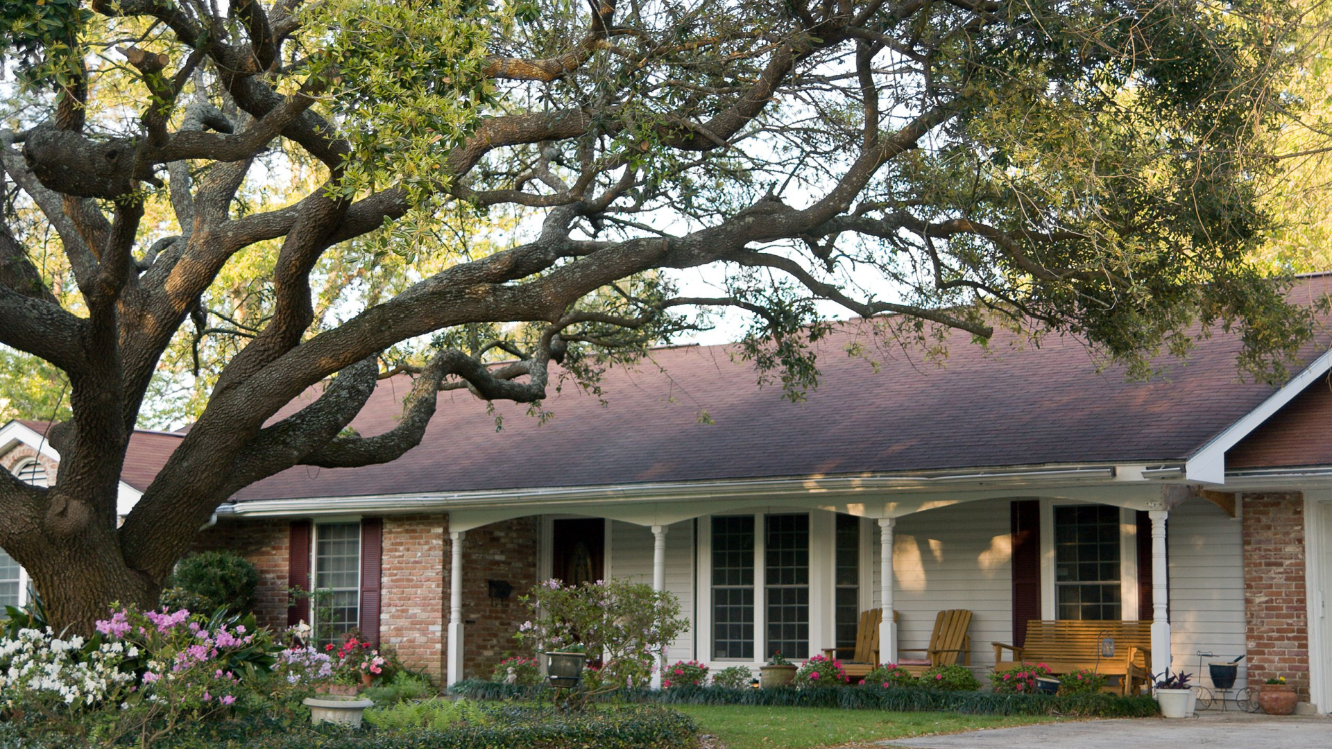 5 Factors To Help You Decide What Tree To Plant In Your Florida Yard