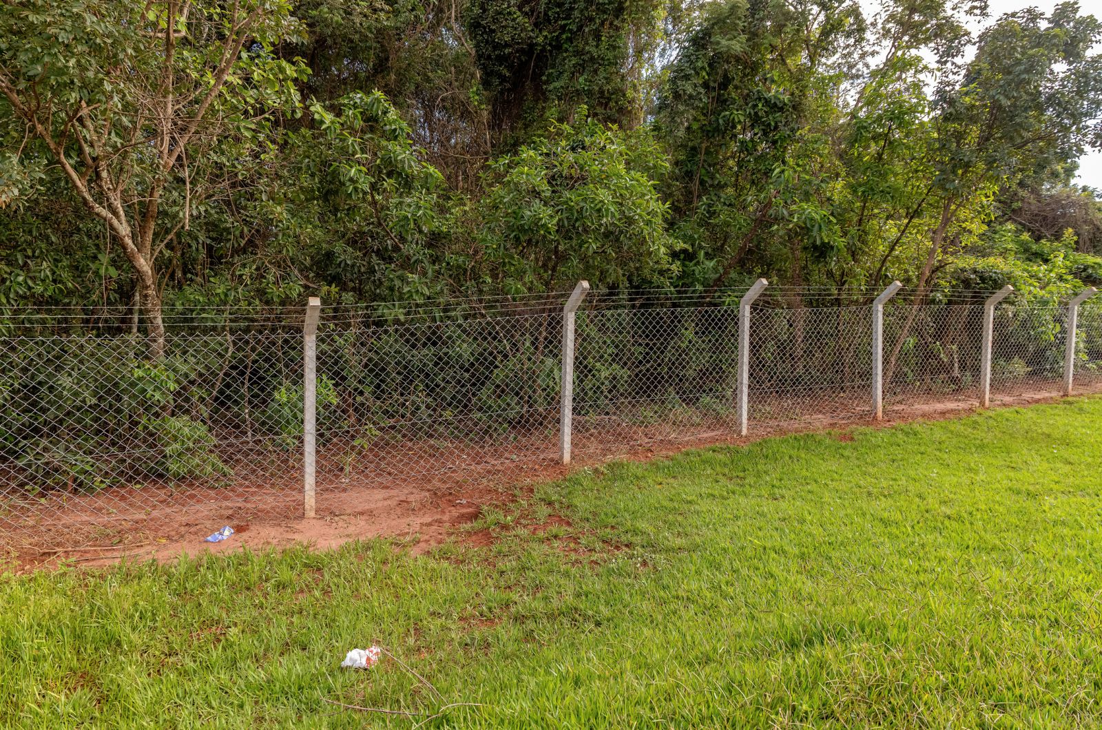Fence with concrete posts and wire mesh