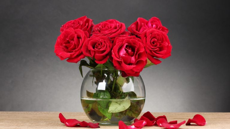 Red Roses
