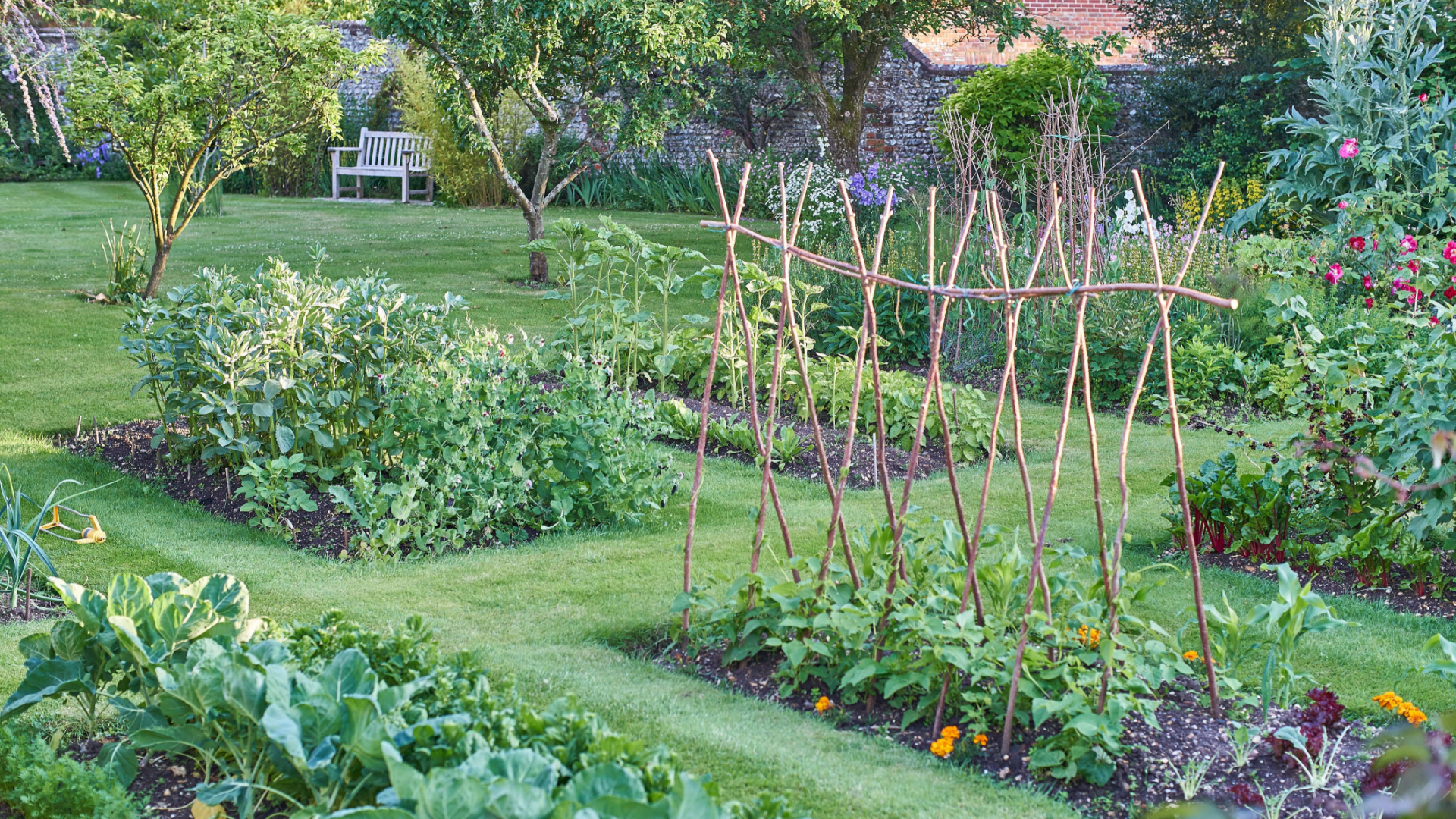 Ground-Up Garden: 9 Tips To Build A Strong Foundation