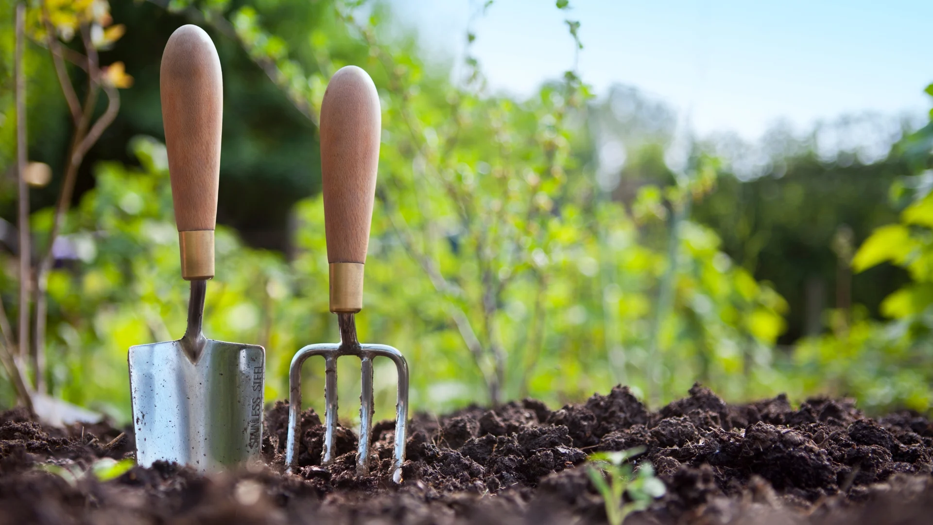 gardening tools in garden
