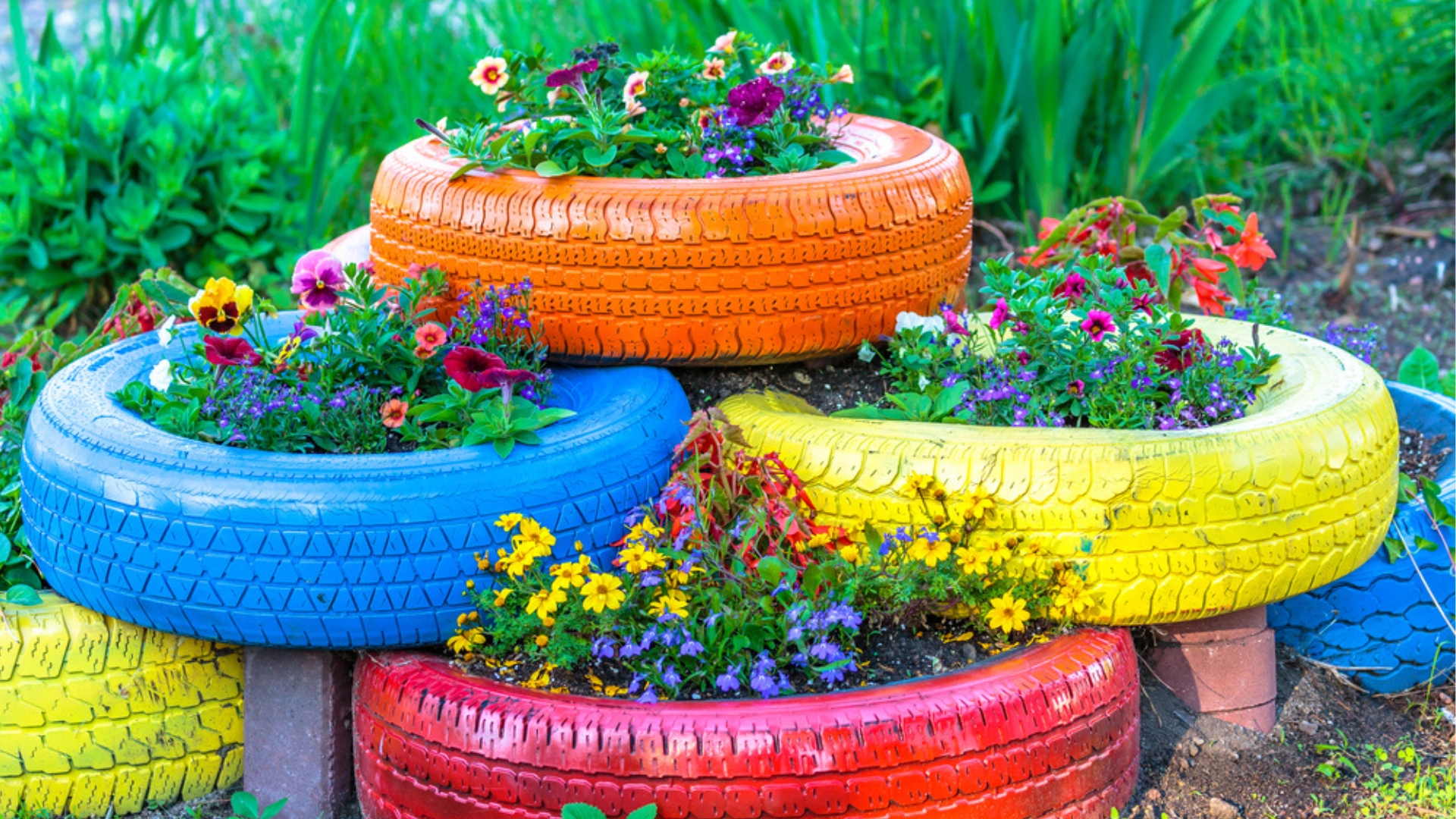 colored old tires