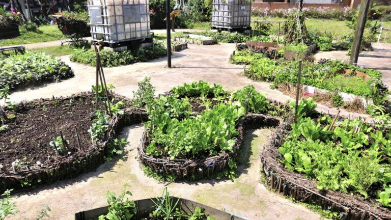 maximize yields with keyhole gardening